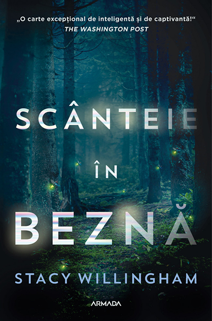 Scânteie în beznă – Stacy Willingham