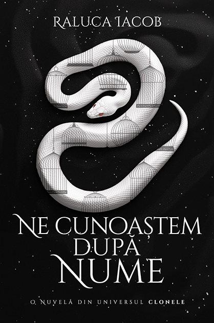 Ne cunoaștem după nume – Raluca Iacob (Clonele, #1.5)